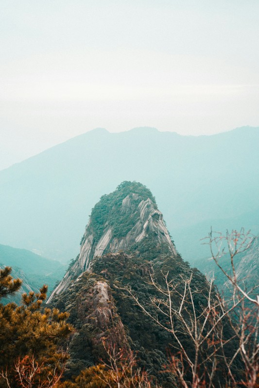 a mountain with trees and a foggy mountain range mount huangshan