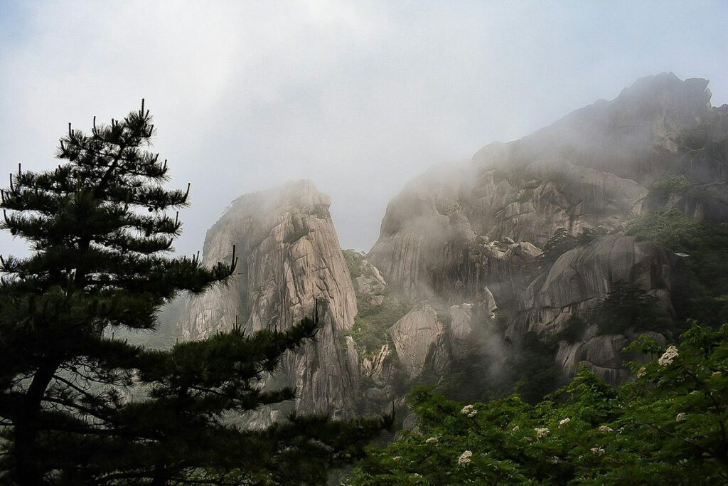 a tree next to a rocky mountain mount huangshan weather