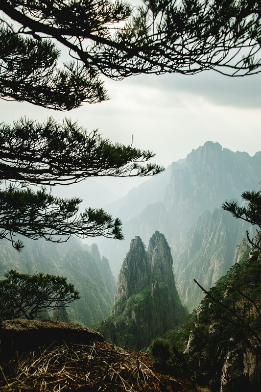 a mountain range with trees Where is Yellow Mountain