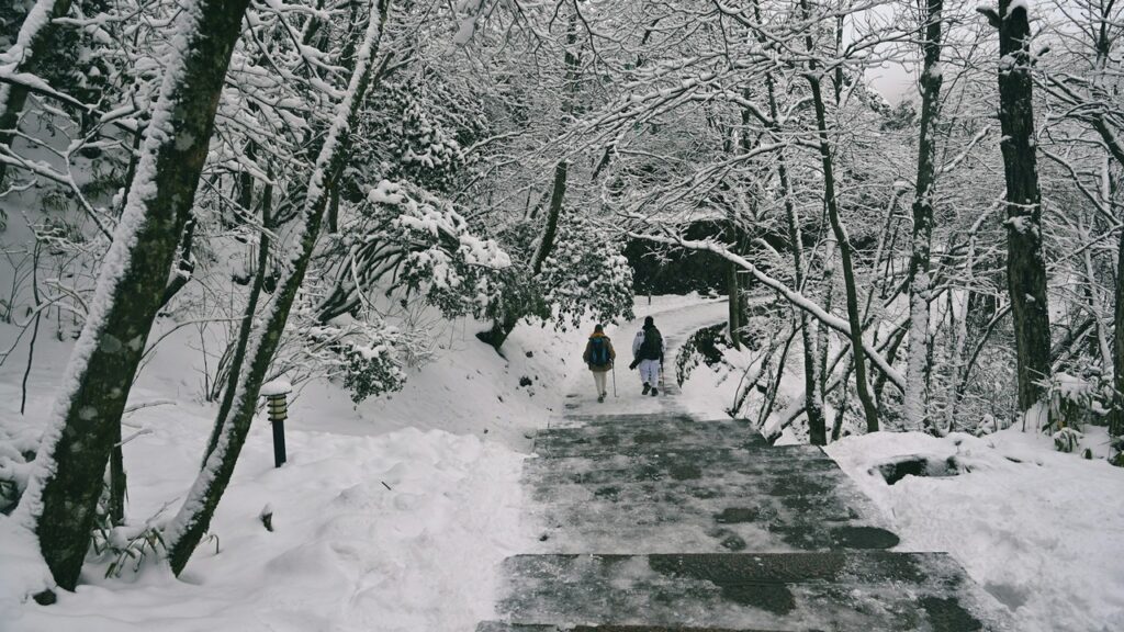 people walking on a snowy path yellow mountain china