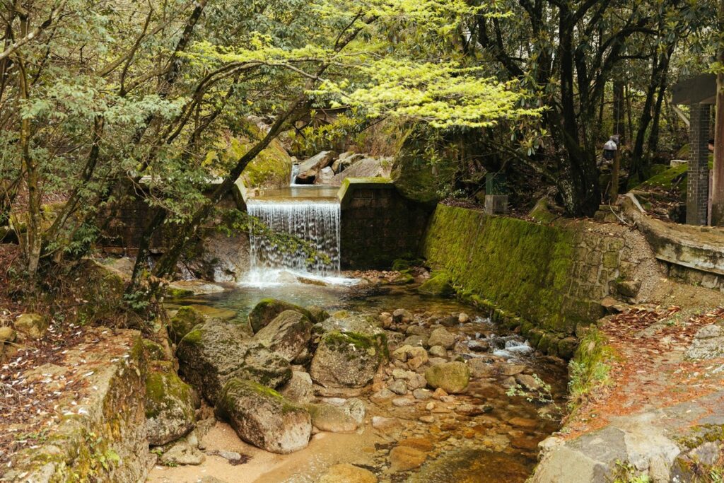 yellow mountain huangshan