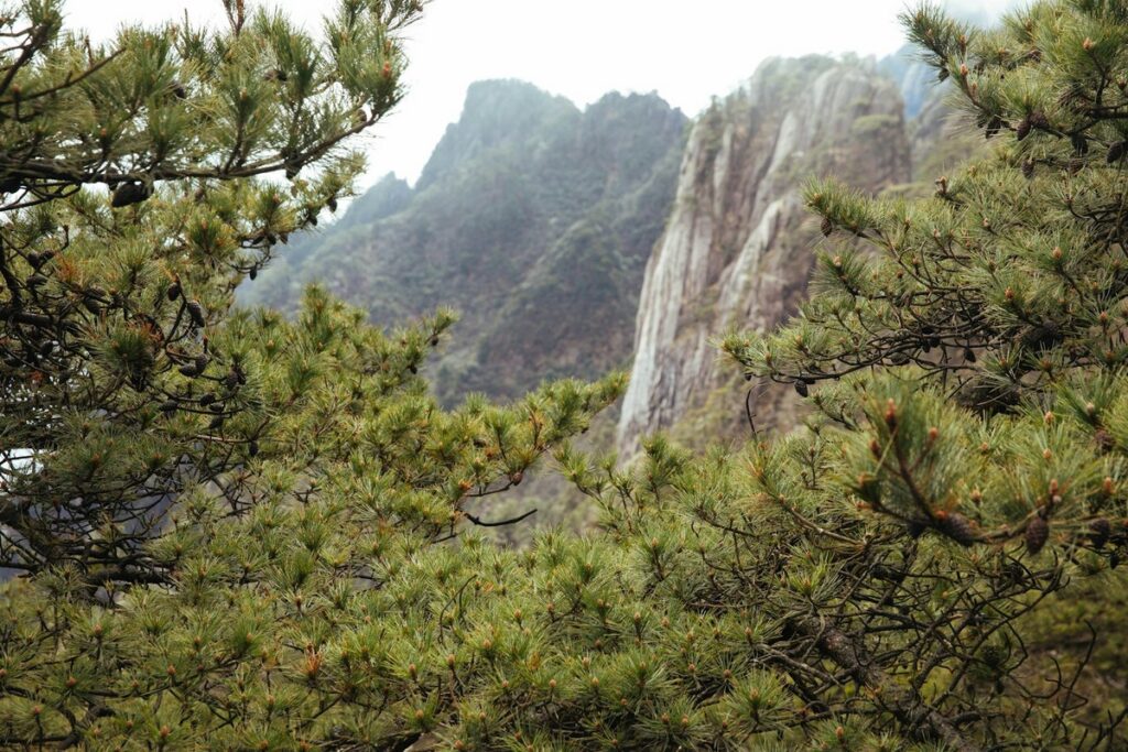 yellow mountain huangshan