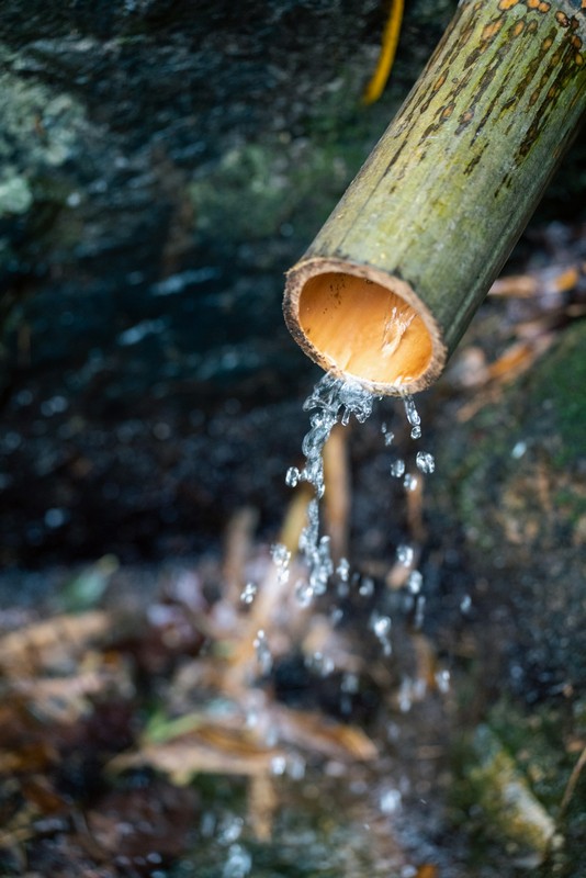 water dripping from a bamboo pipe
yellow mountain in china